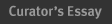 Curators Essay