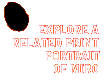 Explore a Related Print: Portrait of Miro