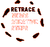 Retrace Miro's Creative Steps