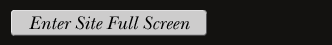 Enter Site Full Screen
