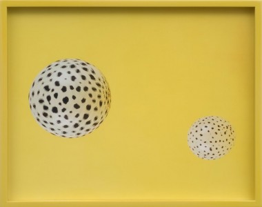 Untitled (Cheetah)
