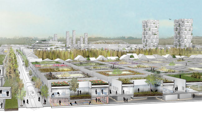 Nature&ndash;City
