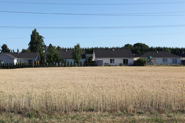 Nature&ndash;City