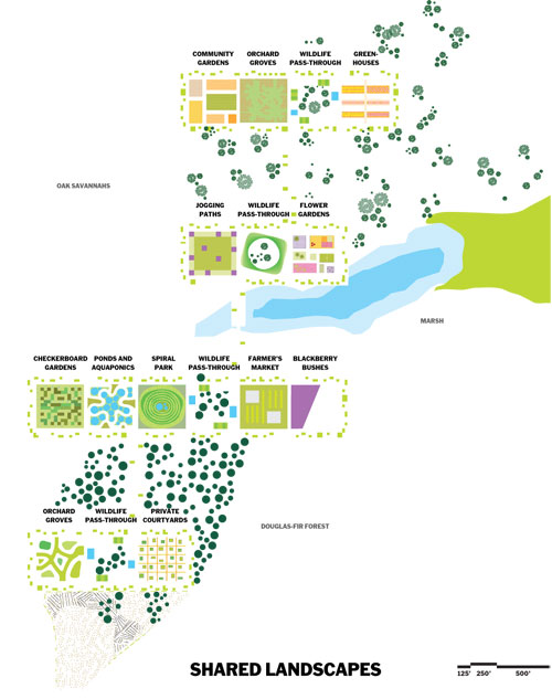 Nature&ndash;City