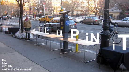 aLuPiNiT street vendor table, NYC.