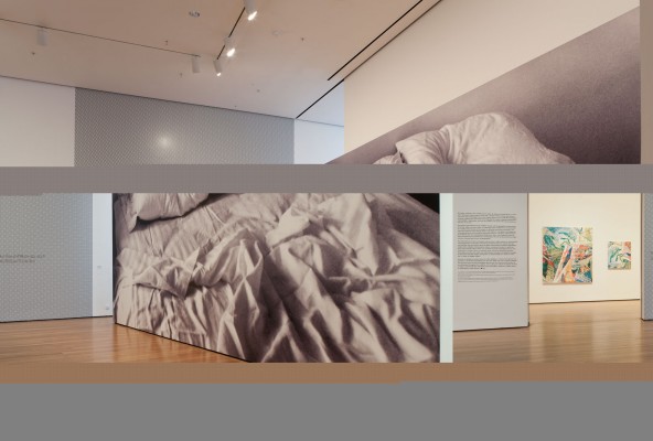 Installation view 1