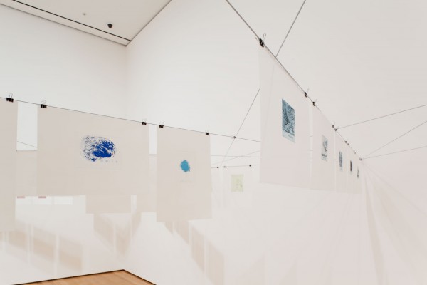 Installation view 13