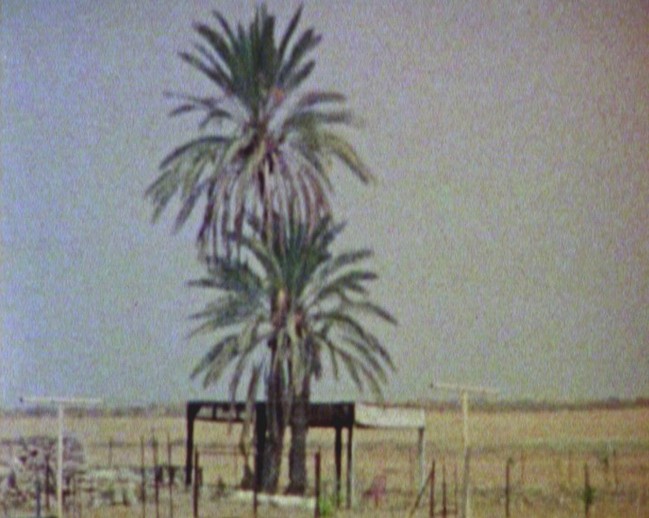 Haris Epaminonda. Stills from Chronicles. 2010. Three Super 8 films transferred to video (color, sound), 16:33, 26:55, and 2:11 min. loops. Courtesy the artist, Site Gallery, Sheffield, and Rodeo, Istanbul. © 2011 Haris Epaminonda