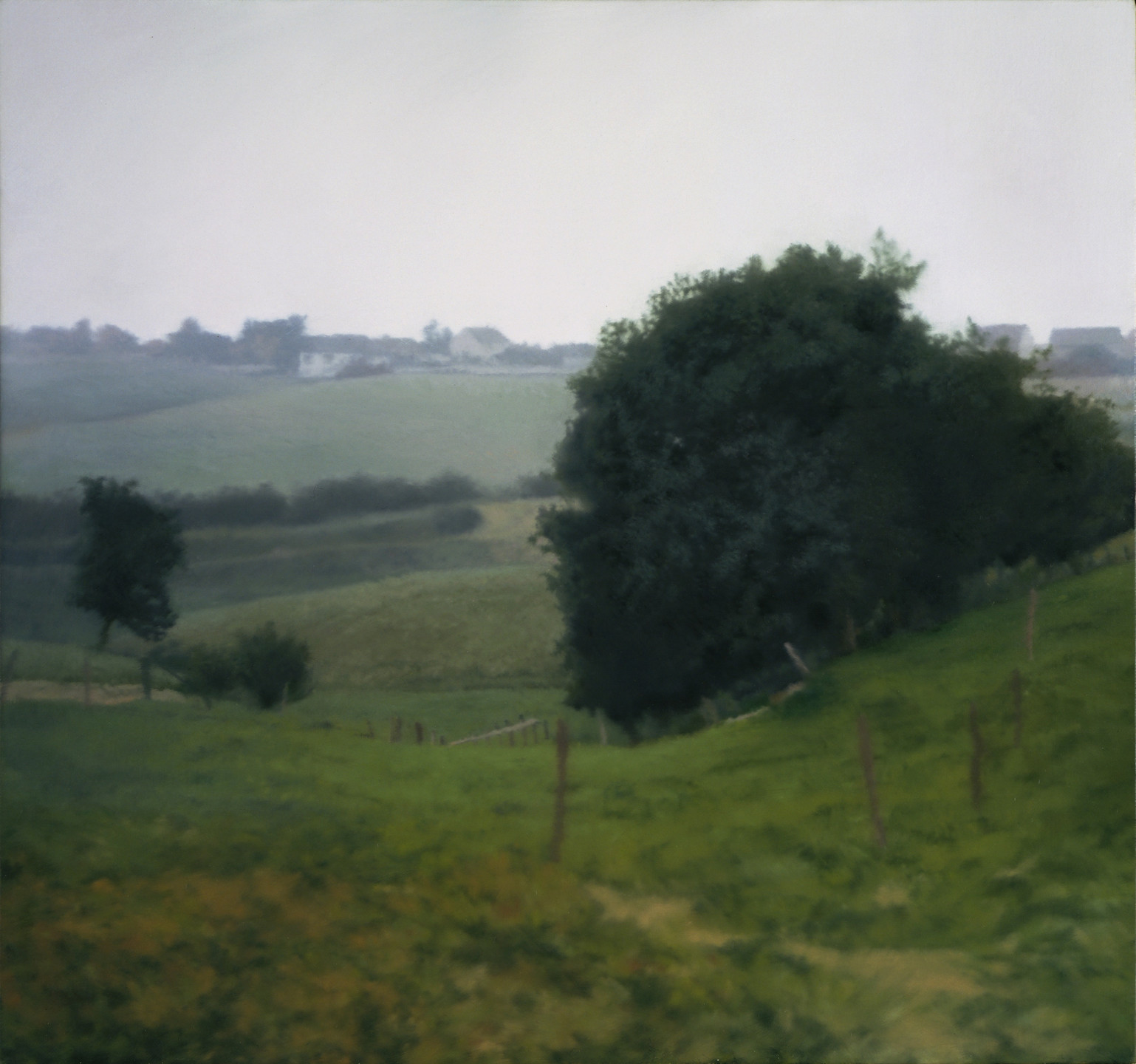 Gerhard Richter. Meadowland. 1985