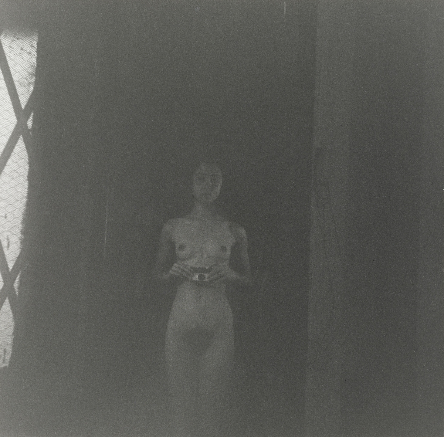 Adrian Piper. Food for the Spirit #1. 1971