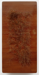 1,914 White Points on Sapele Background