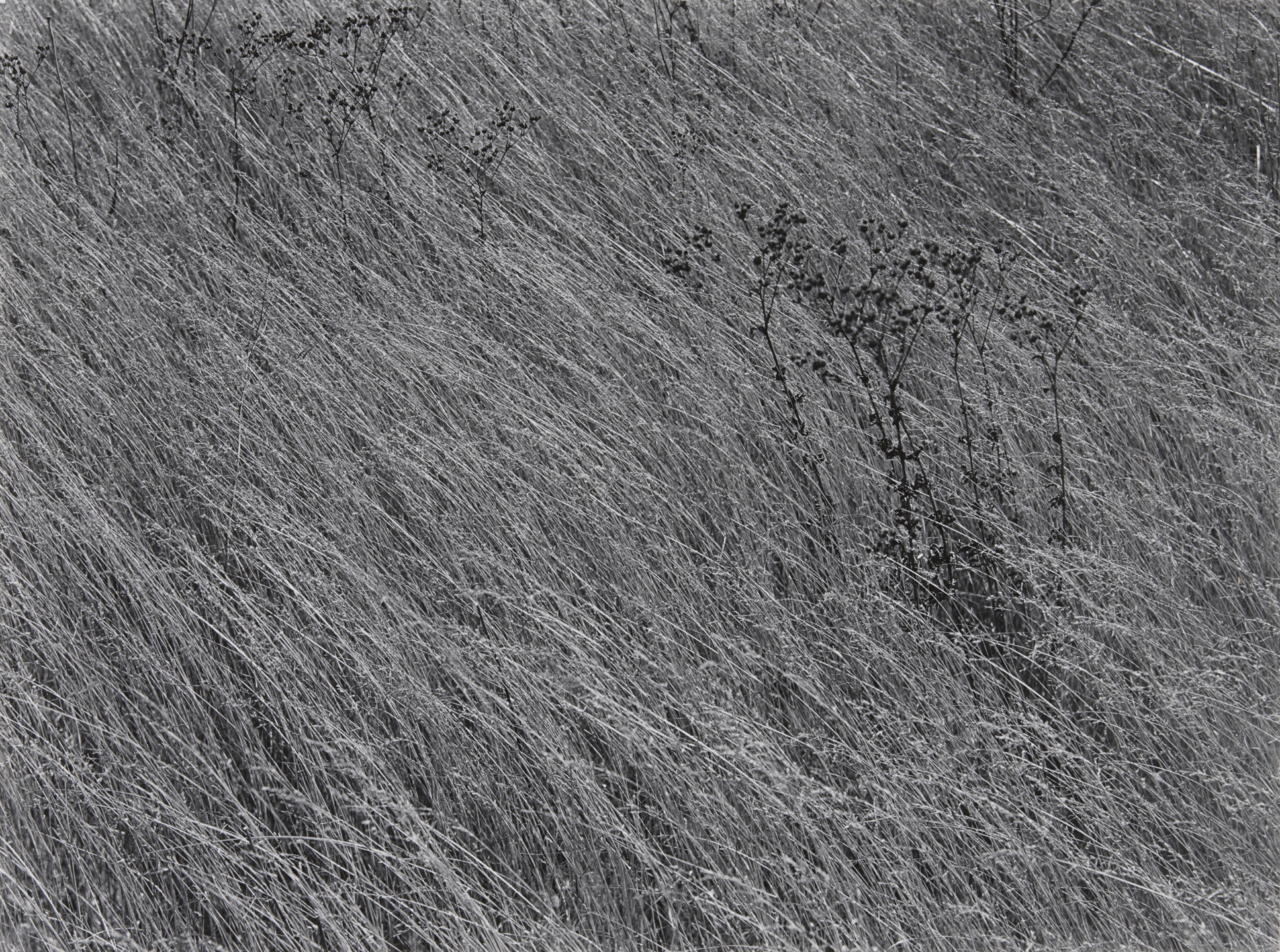 Harry Callahan. Detroit. 1941