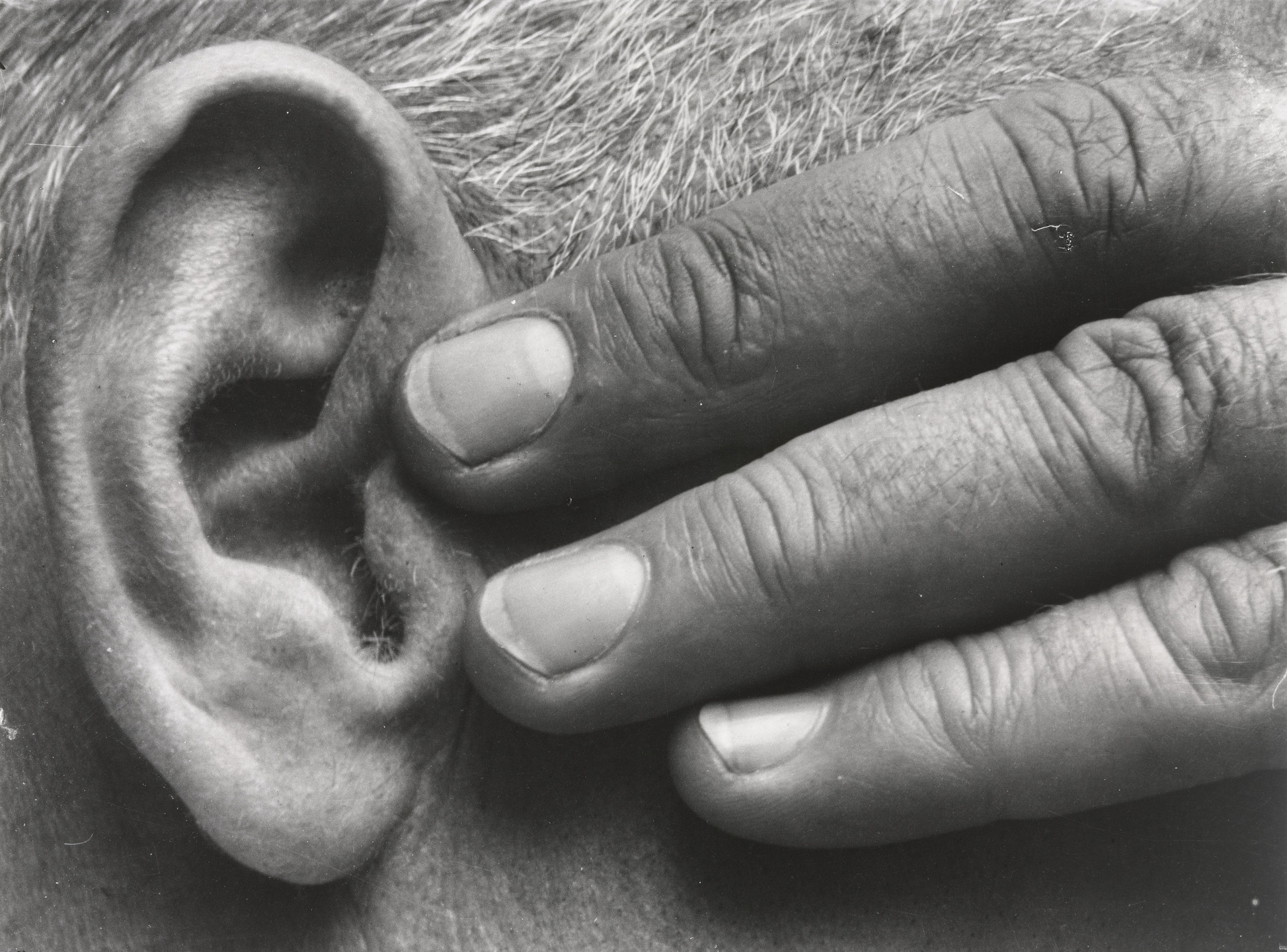 Brett Weston. Hand and Ear. 1928