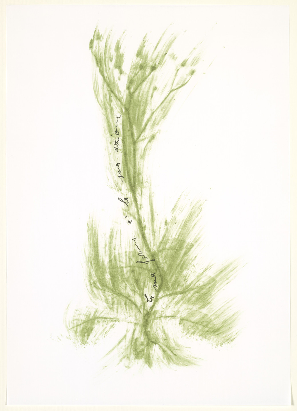 Giuseppe Penone. Untitled from Thirty-Three Herbs (Trentatre Erbe). 1989