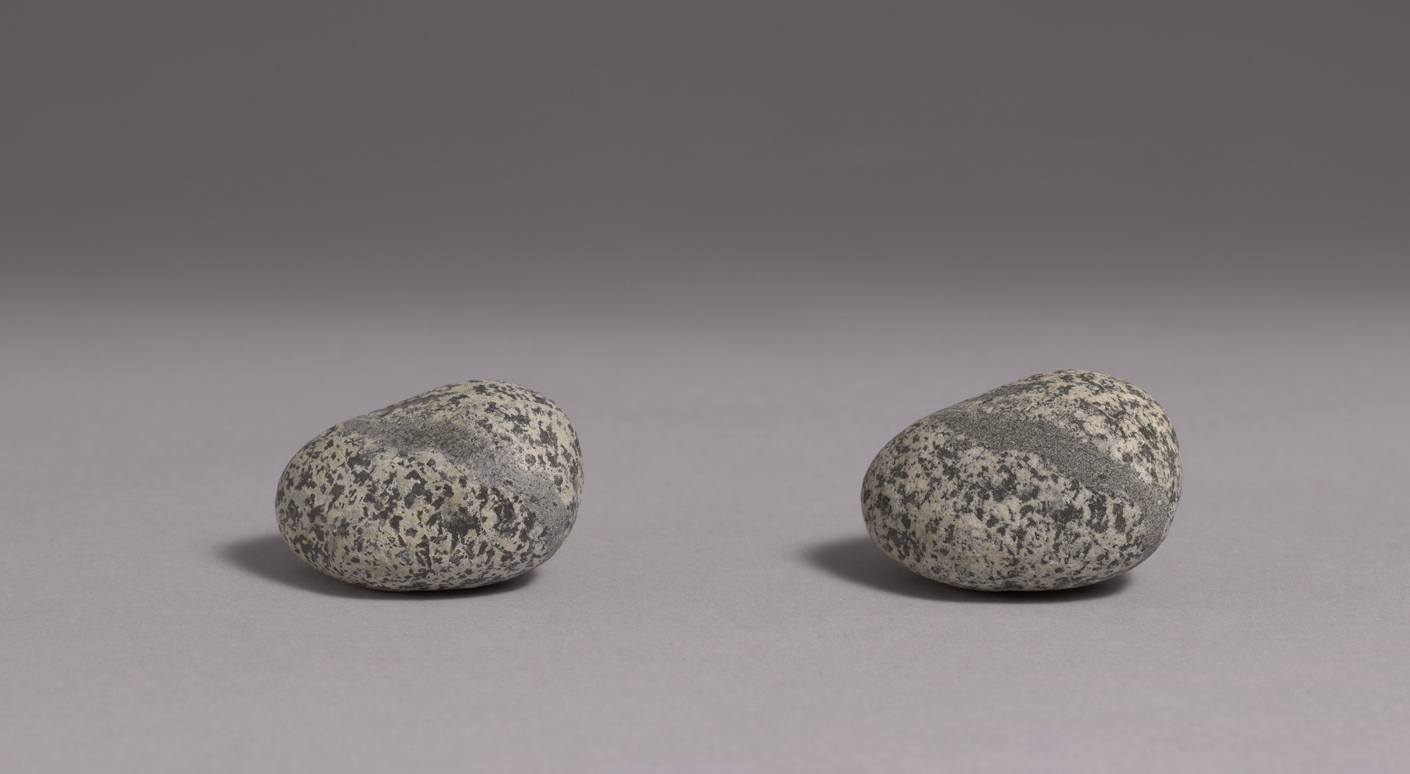 Vija Celmins. To Fix the Image in Memory. 1977-82