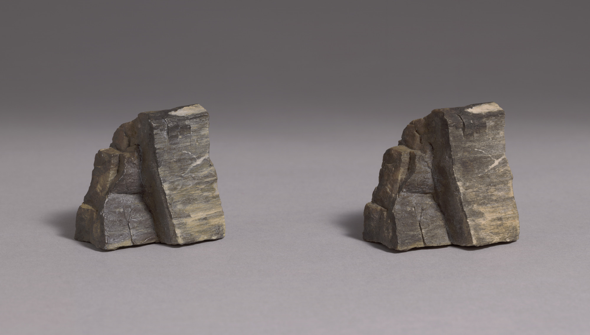 Vija Celmins. To Fix the Image in Memory. 1977-82