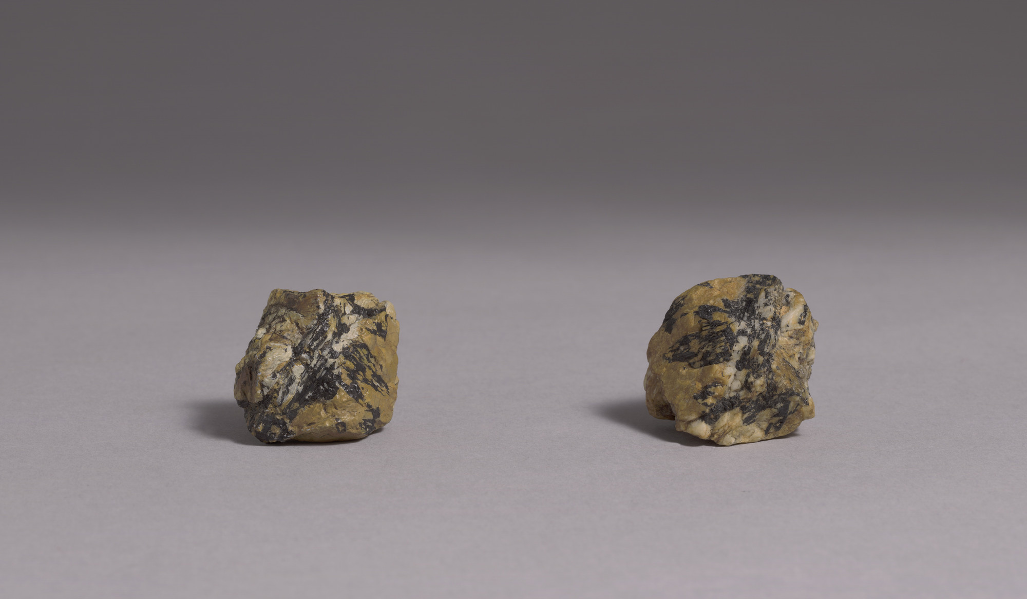 Vija Celmins. To Fix the Image in Memory. 1977-82