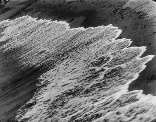 Ralph Steiner. Surf and Seaweed. 1931