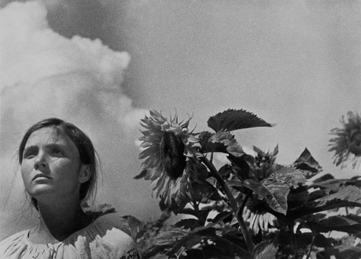 Alexander Dovzhenko. Zemlya (Earth). 1930