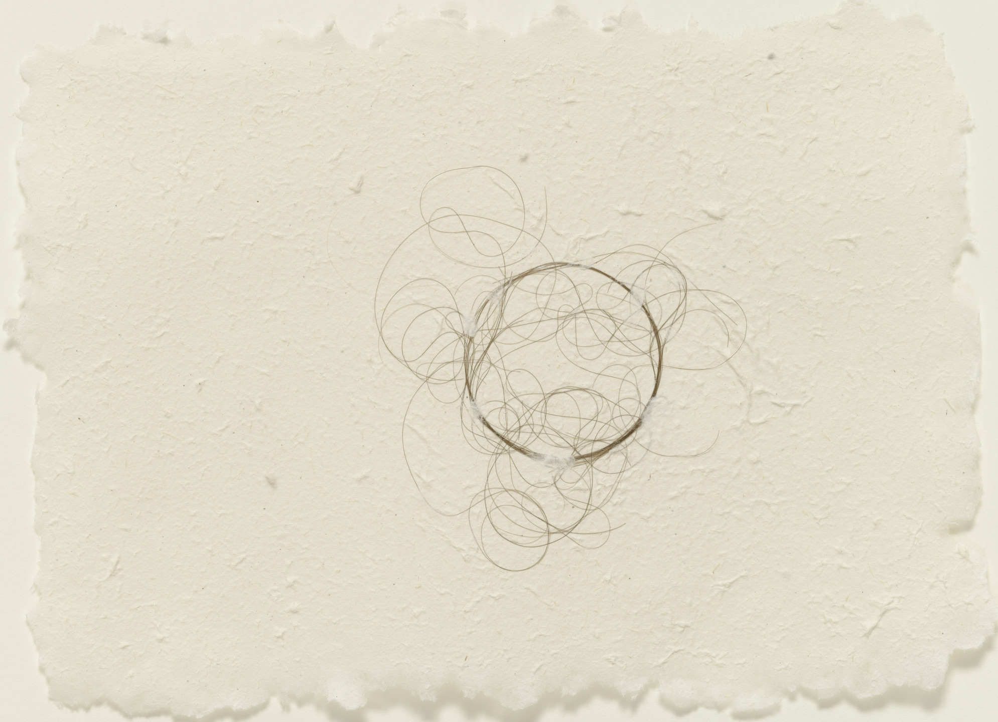Mona Hatoum. Hair Drawing. (2003)