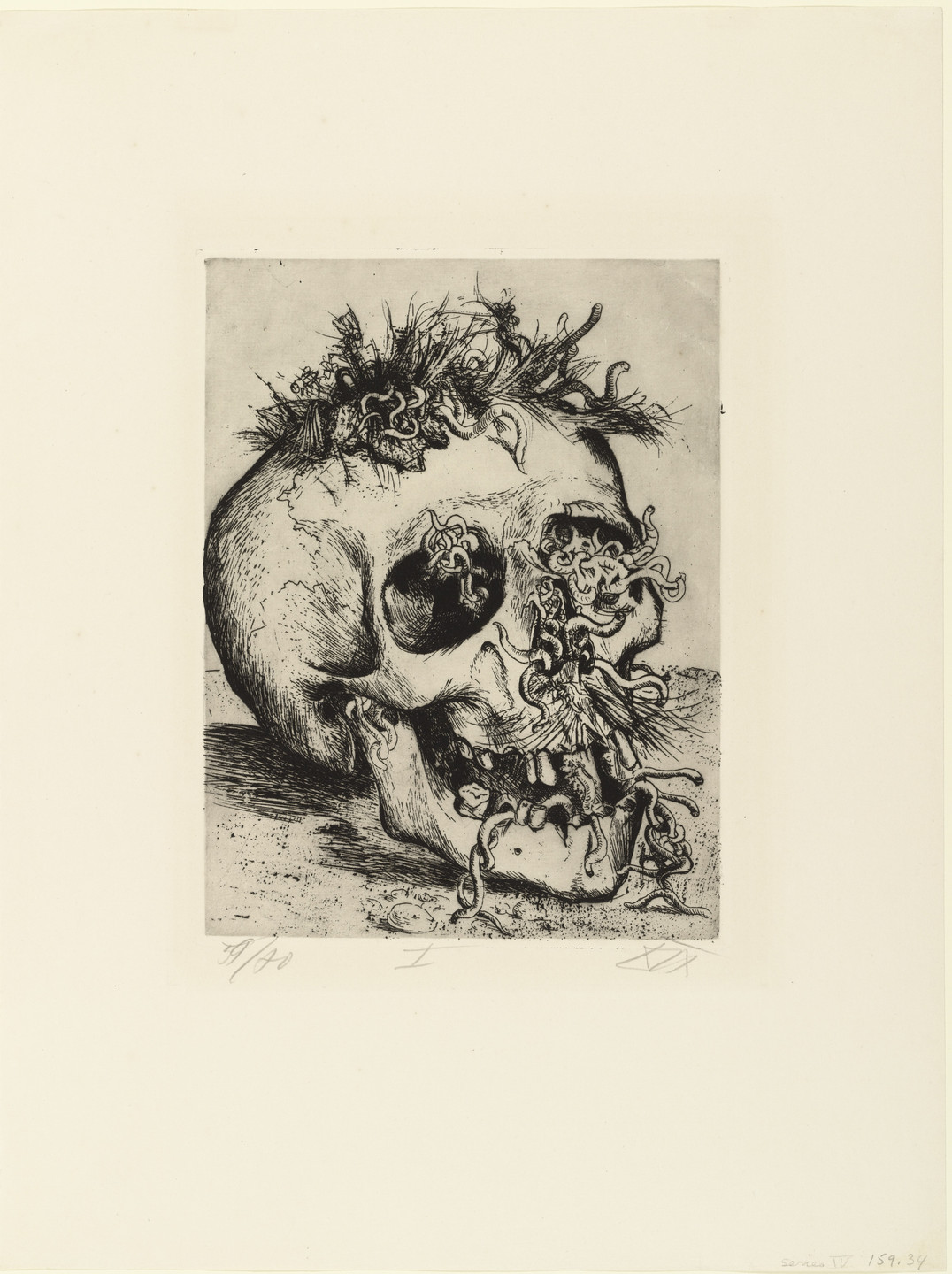 Otto Dix. Skull (Schädel) from The War (Der Krieg). (1924)