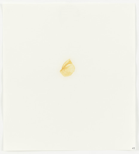 Edward Ruscha. Egg Yolk from Stains. 1969