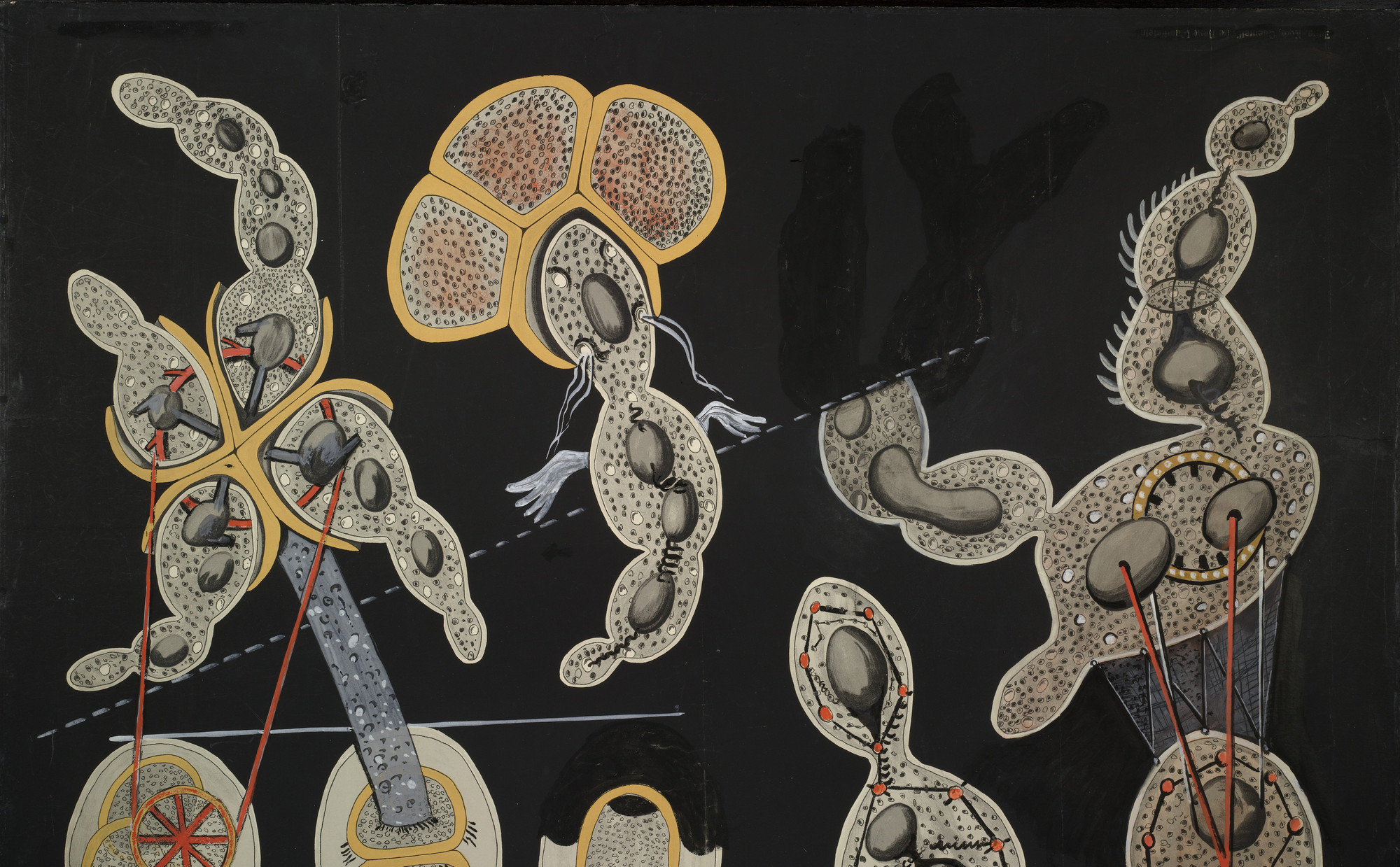 Max Ernst. The Gramineous Bicycle Garnished with Bells the Dappled Fire Damps and the Echinoderms Bending the Spine to Look for Caresses (La Biciclette graminée garnie de grelots les grisous grivelés et les échinodermes courbants l&#39;échine pour quêter des caresses). 1921