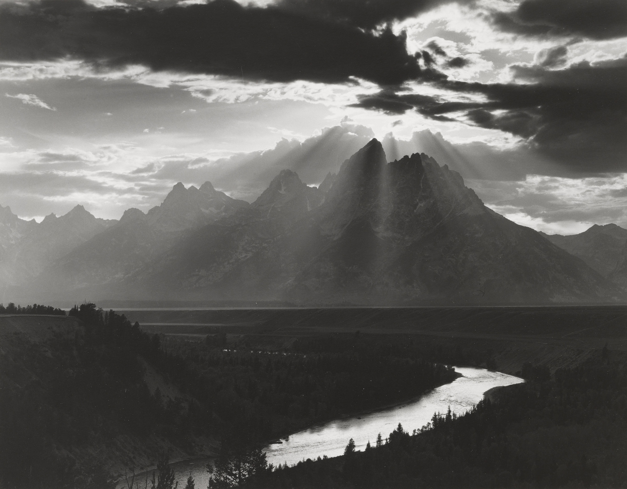 Image result for minor white