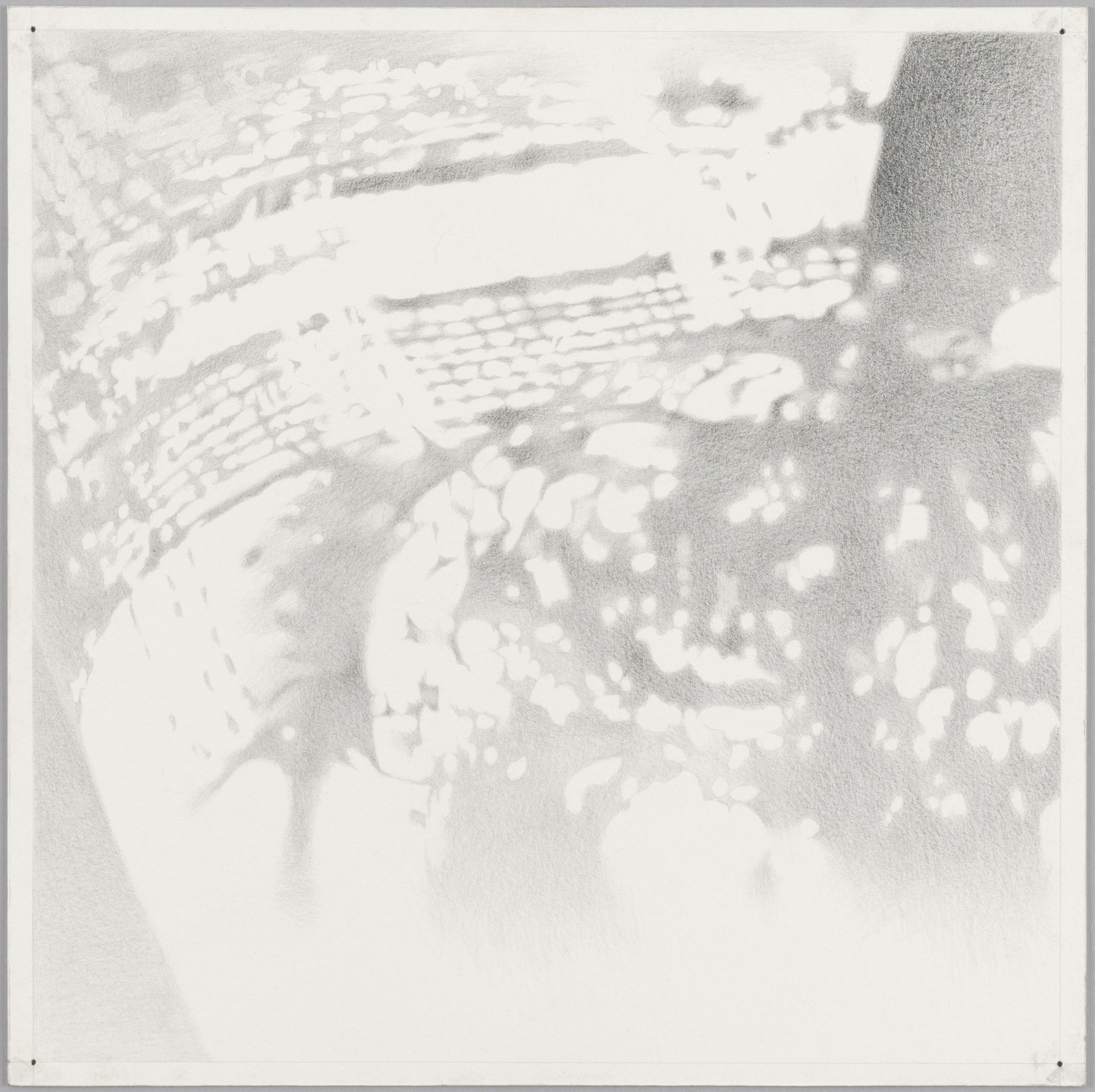 Banks Violette. lines of wreckage (lovesongs for assholes) #2. 2003