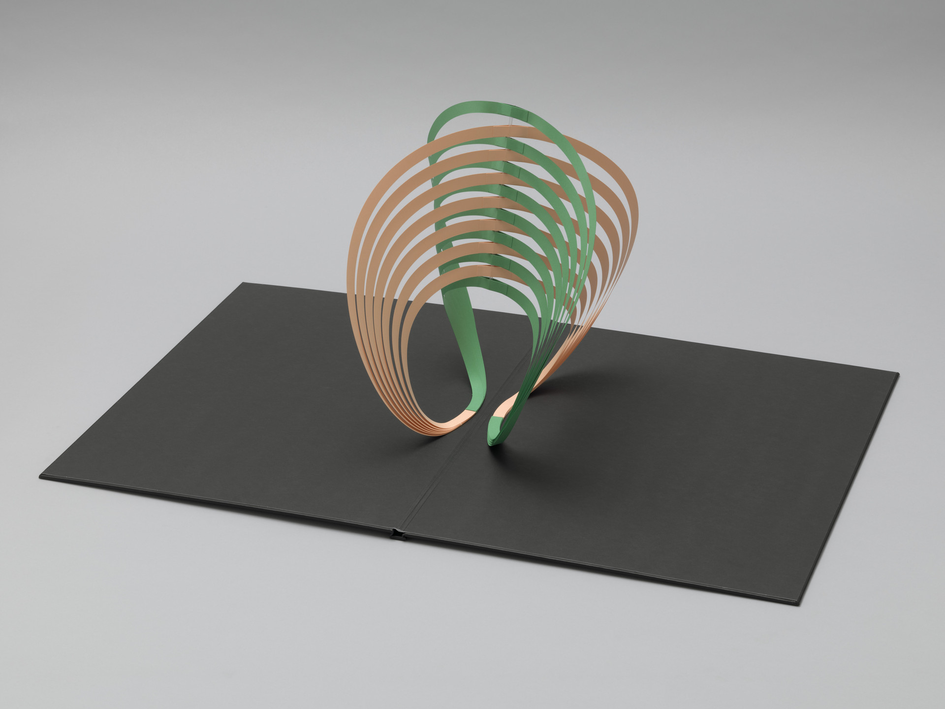A black book lies open with a three-dimensional structure made of green and beige curved, thin strips rising from the center. The strips form a looped, intricate pattern. This is an AI generated description. To give feedback, email ai@moma.org.