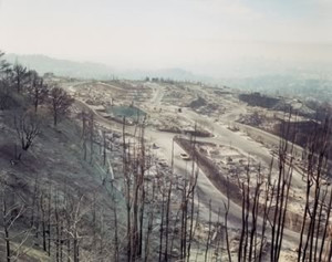 Oakland Fire #12–91