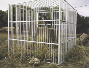 Monument Honouring the 'Contribution of the Horse to South African History,' Erected by the Rapportryers of Bethulie in 1982. Laura Rautenbach was the Sculptor., After the Theft of Bronze Oxen from a Voortrekker Monument in the Town, the Rapportryers Cage