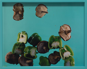 Green Peppers, Shiitake