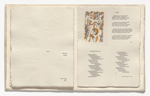 Standing Woman (in-text plate, folio 17) from Poèsie de mots inconnus
