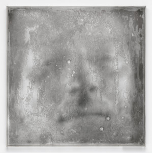 Untitled from the series Dried Narcissus (Narciso seco)