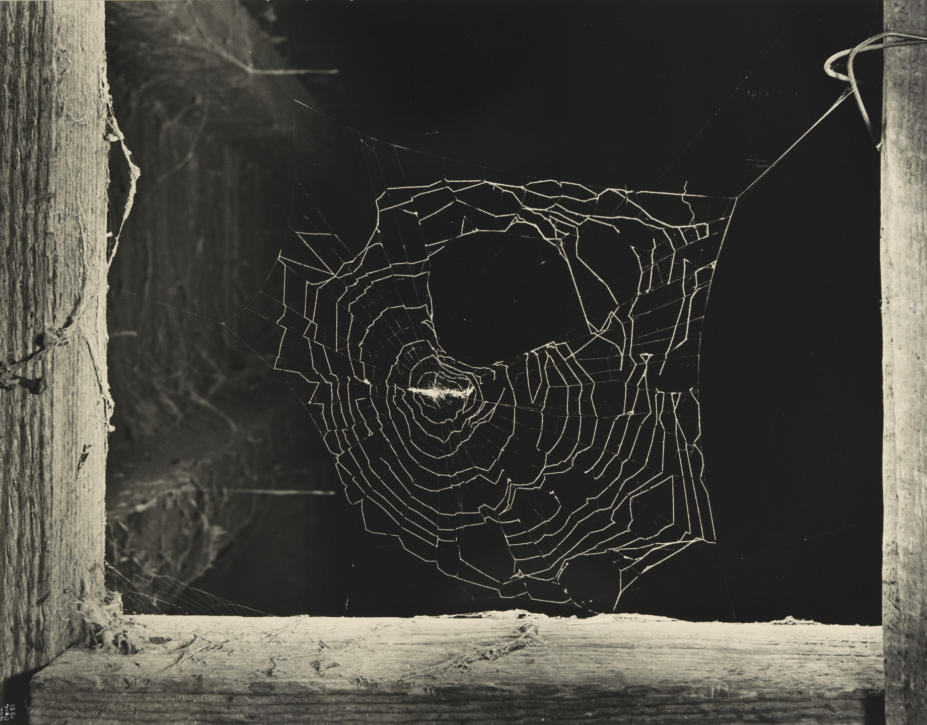 Ilse Bing. Spider Web and Stables, New York. 1951