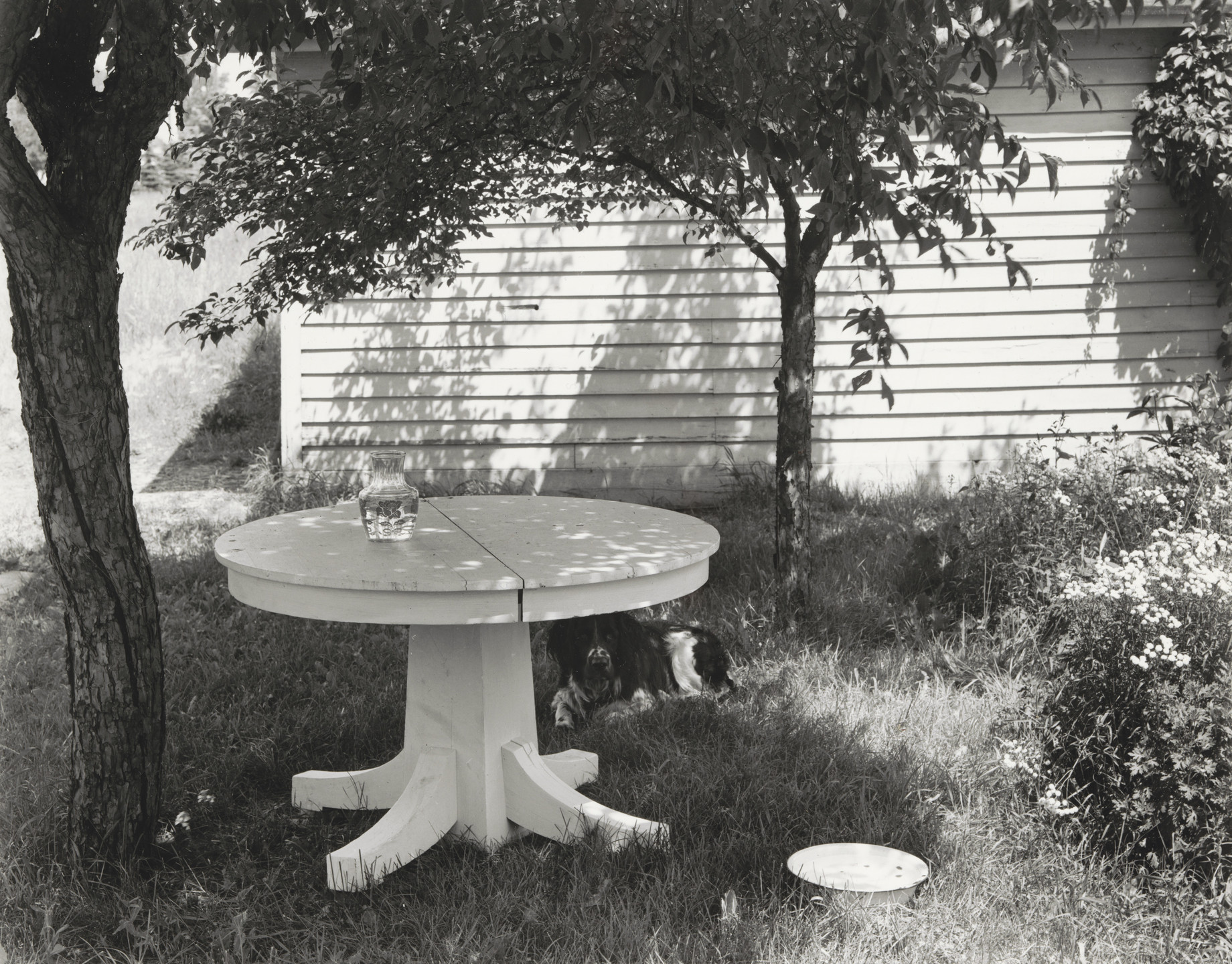 John Szarkowski. Mathew Brady in the Backyard II. 1953