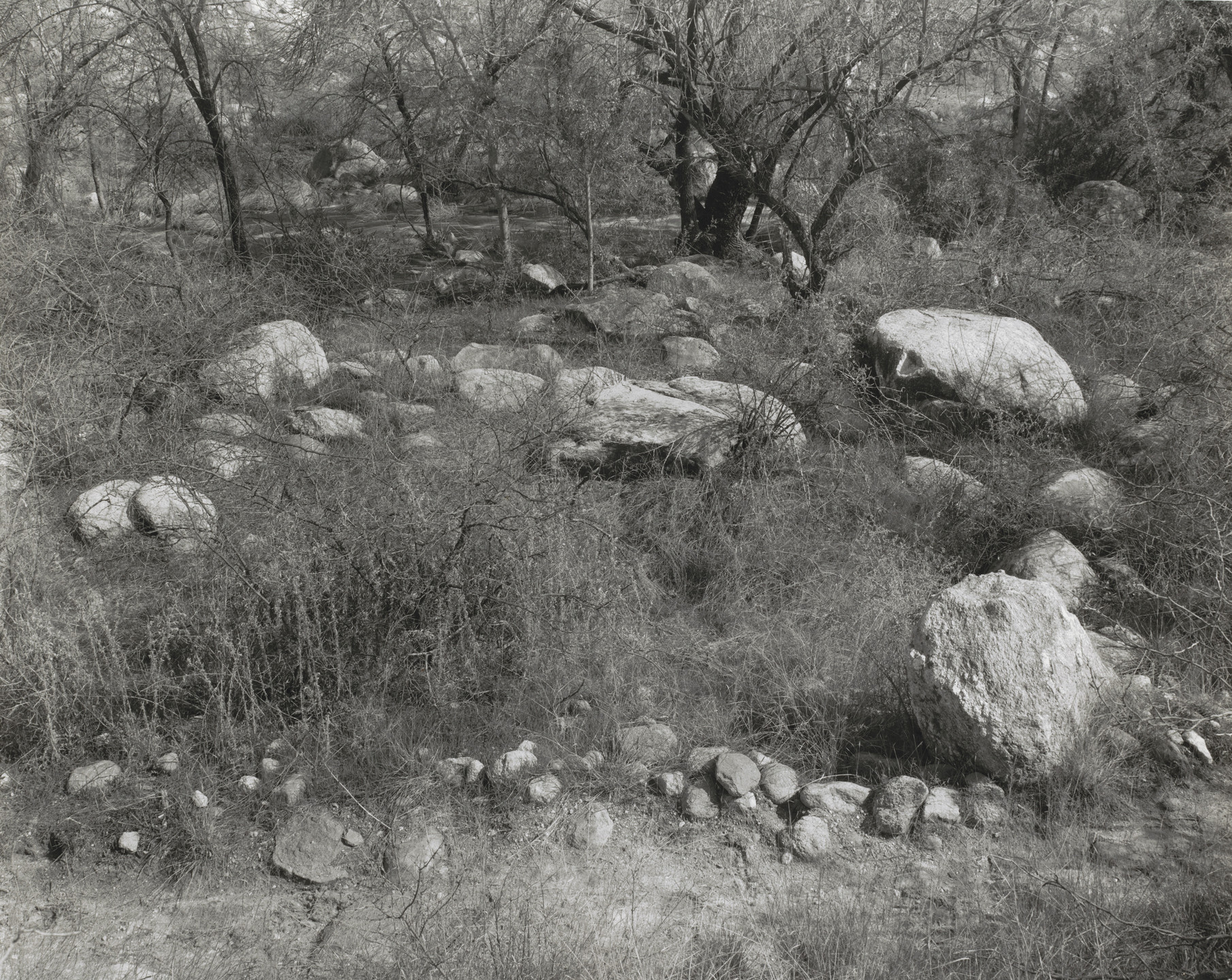 John Szarkowski. Sonoran Landscape #5. 1992