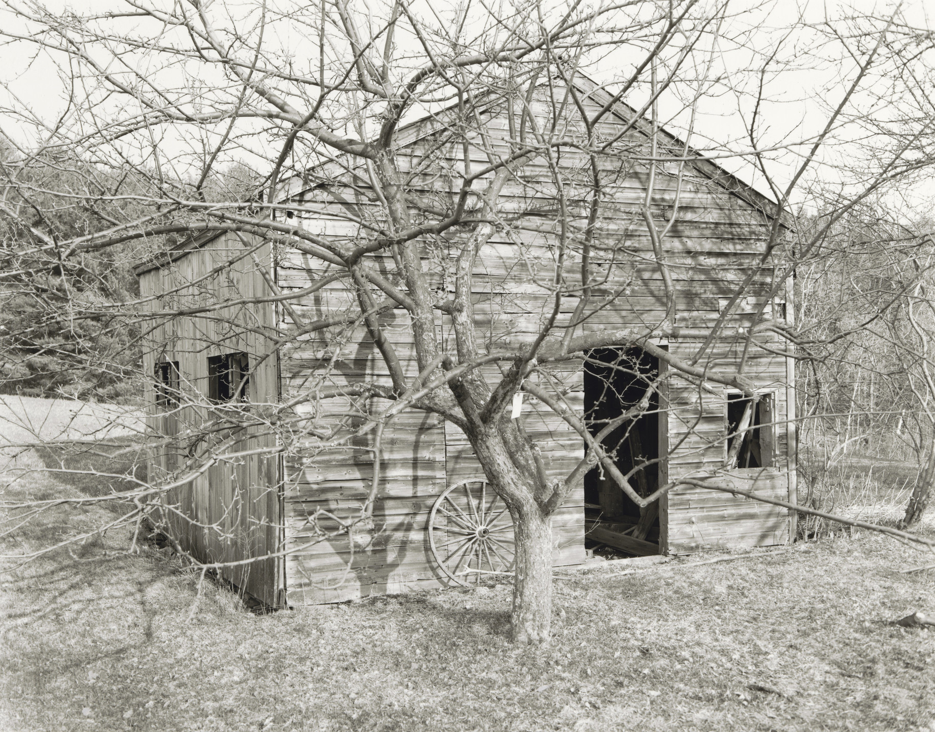 John Szarkowski. Triptych, Around the Meadow. 1996-98
