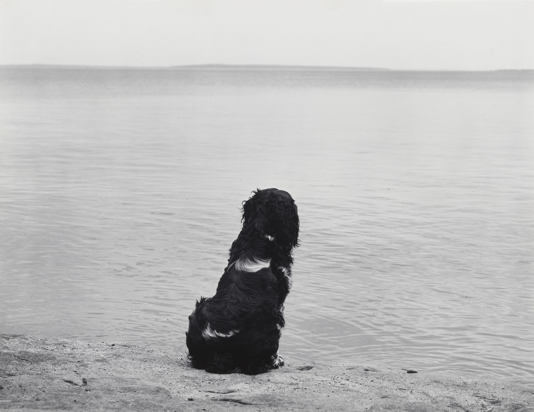 John Szarkowski. Mathew Brady and Lake Superior. 1959