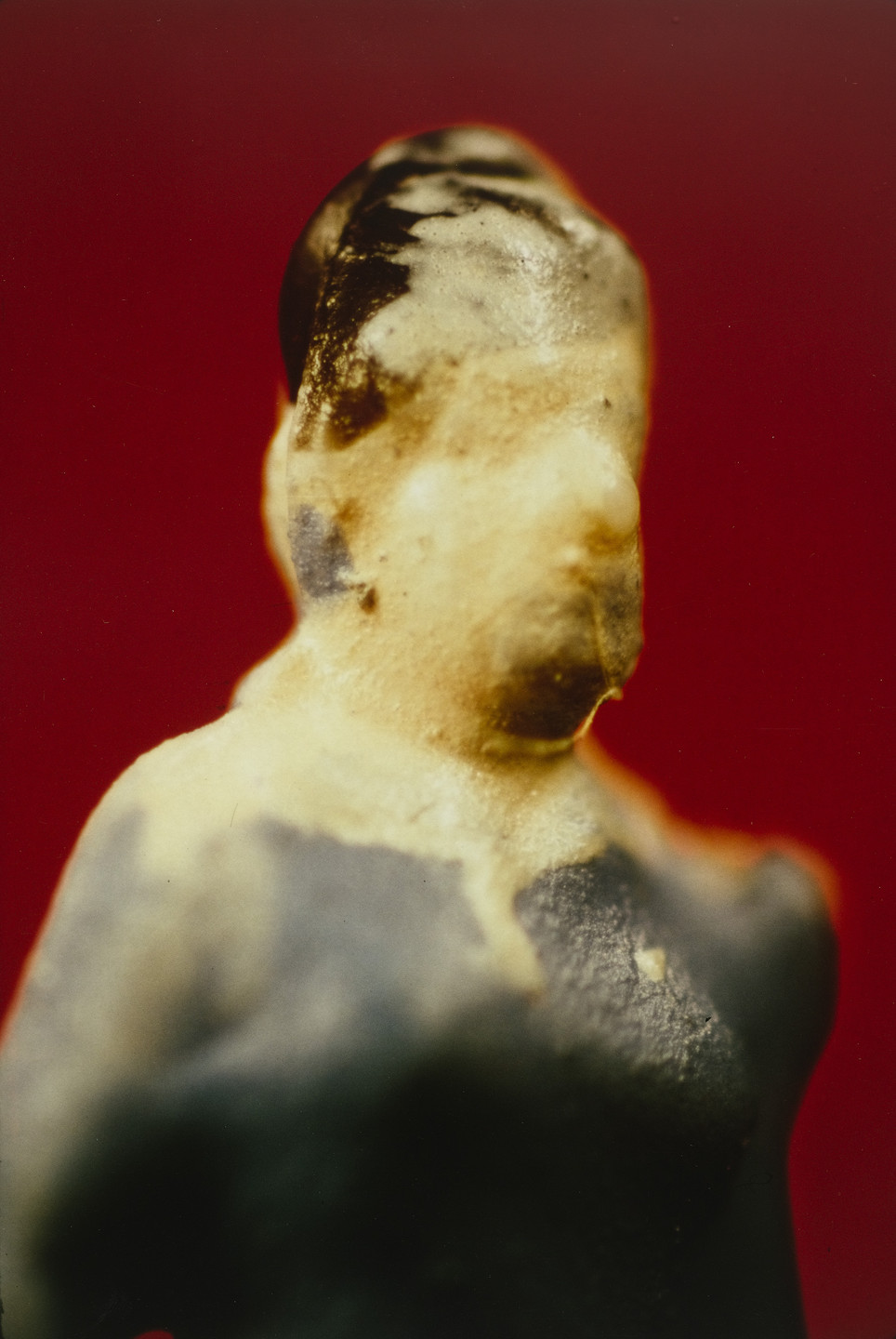 Laurie Simmons, Allan McCollum. Untitled from the series Actual Photos. 1985