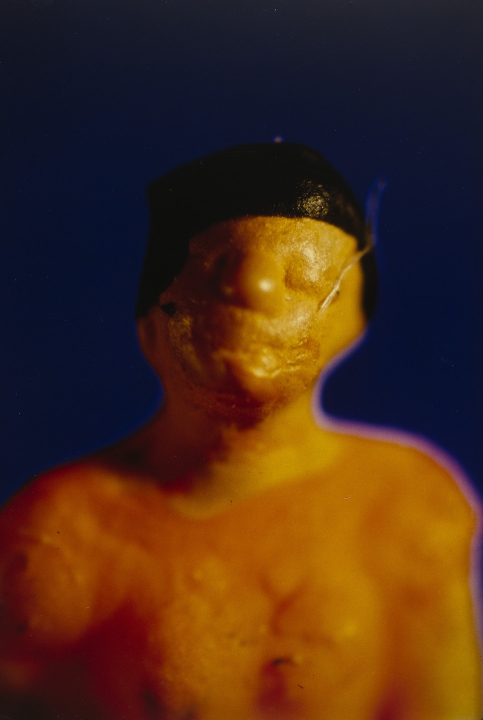 Laurie Simmons, Allan McCollum. Untitled from the series Actual Photos. 1985