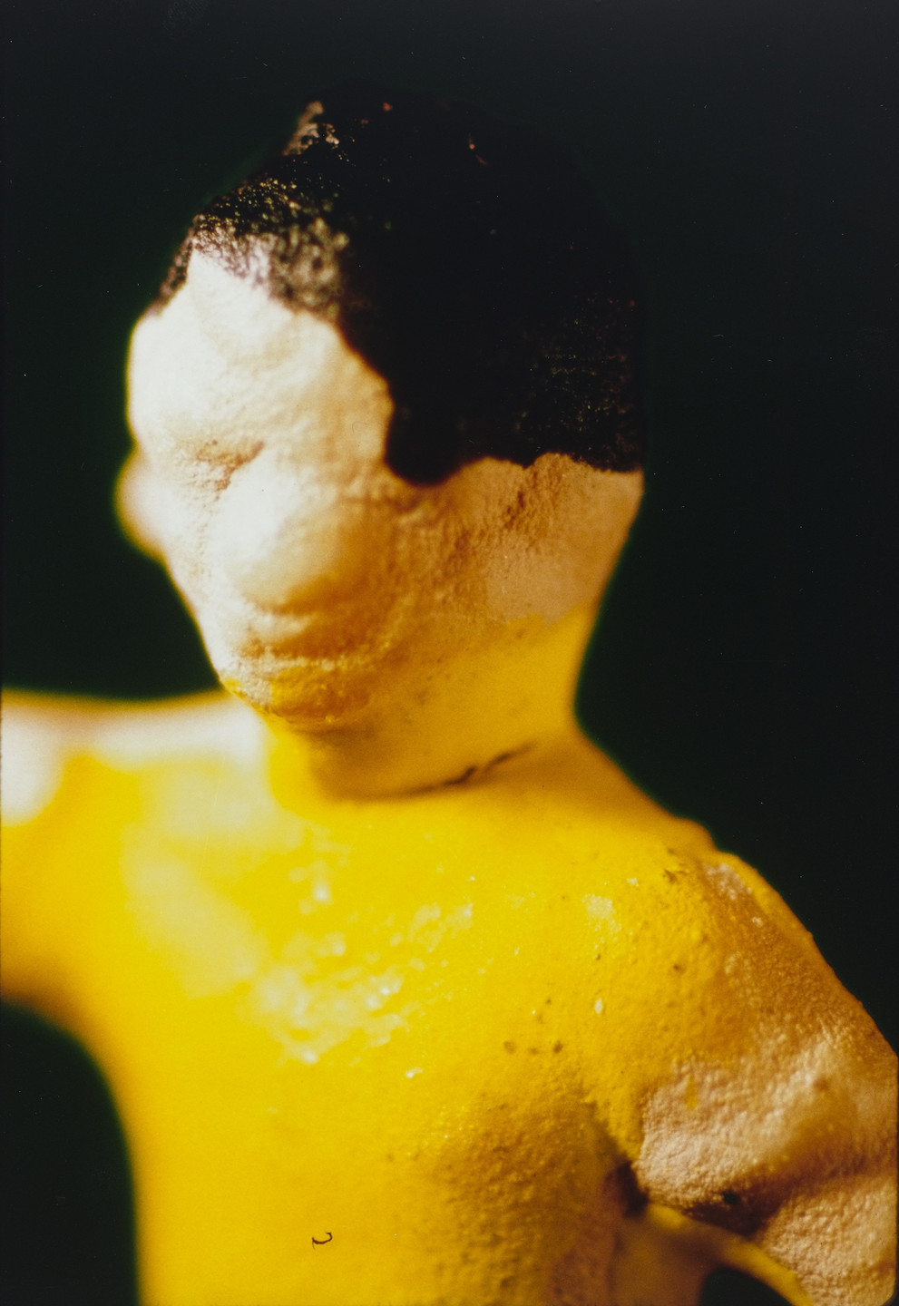 Laurie Simmons, Allan McCollum. Untitled from the series Actual Photos. 1985