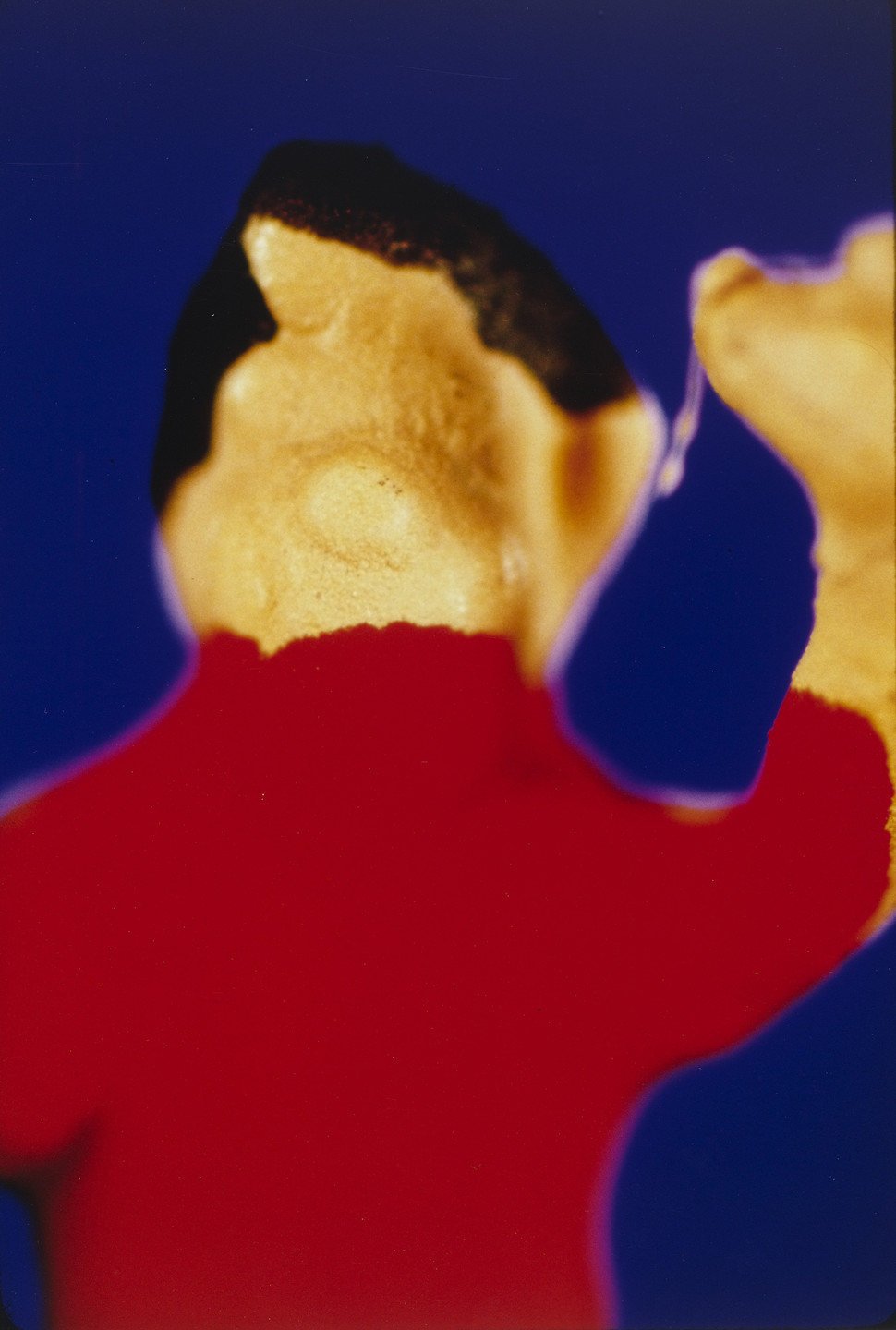 Laurie Simmons, Allan McCollum. Untitled from the series Actual Photos. 1985