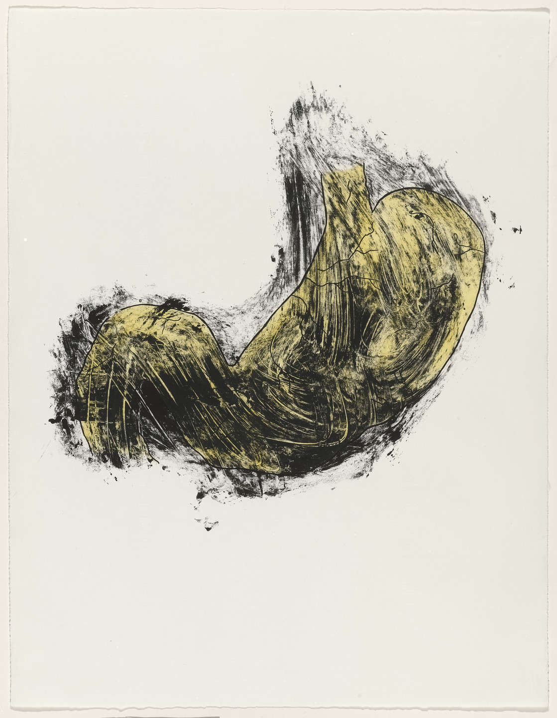 Kiki Smith. Stomach from Possession Is Nine-Tenths of the Law. 1985