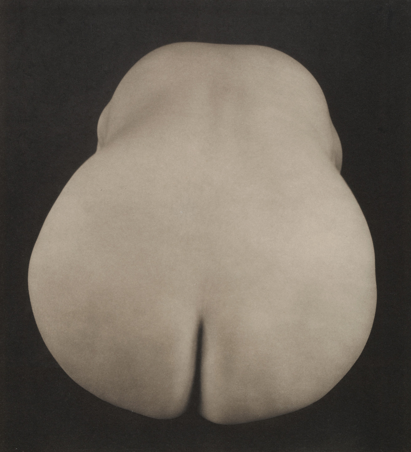 Edward Weston. Nude, Mexico. 1925