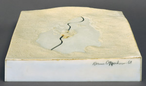 Time Pocket -- Project for Frozen Lake