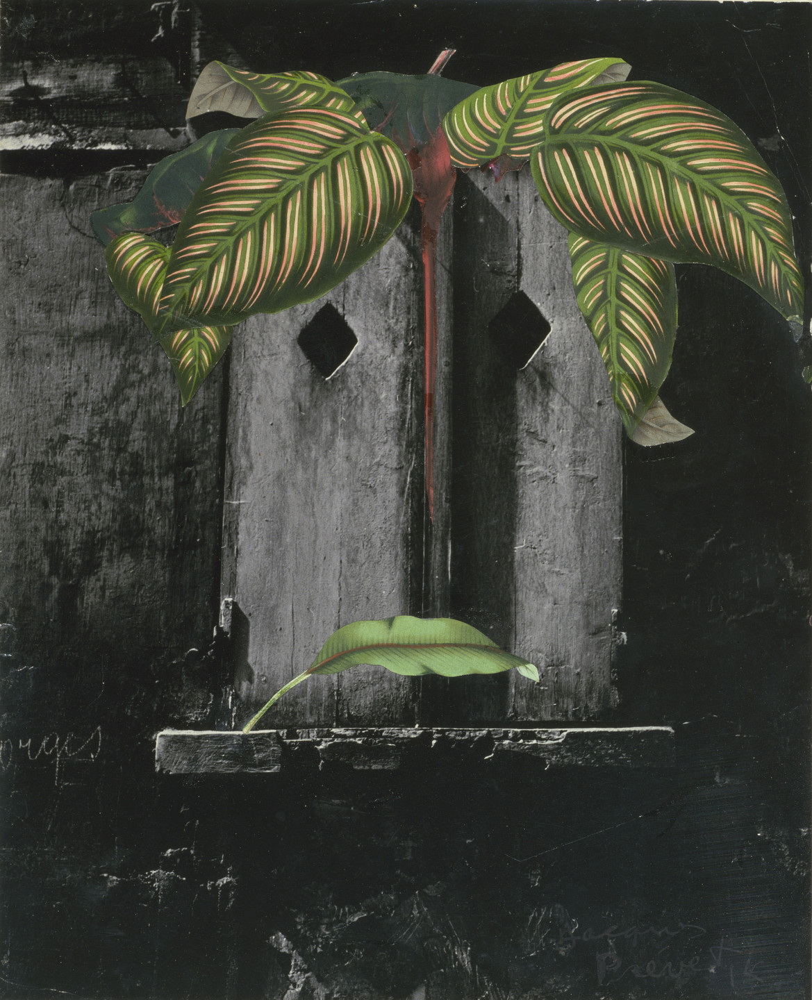 Jacques Prévert. The Window of Isis. 1957