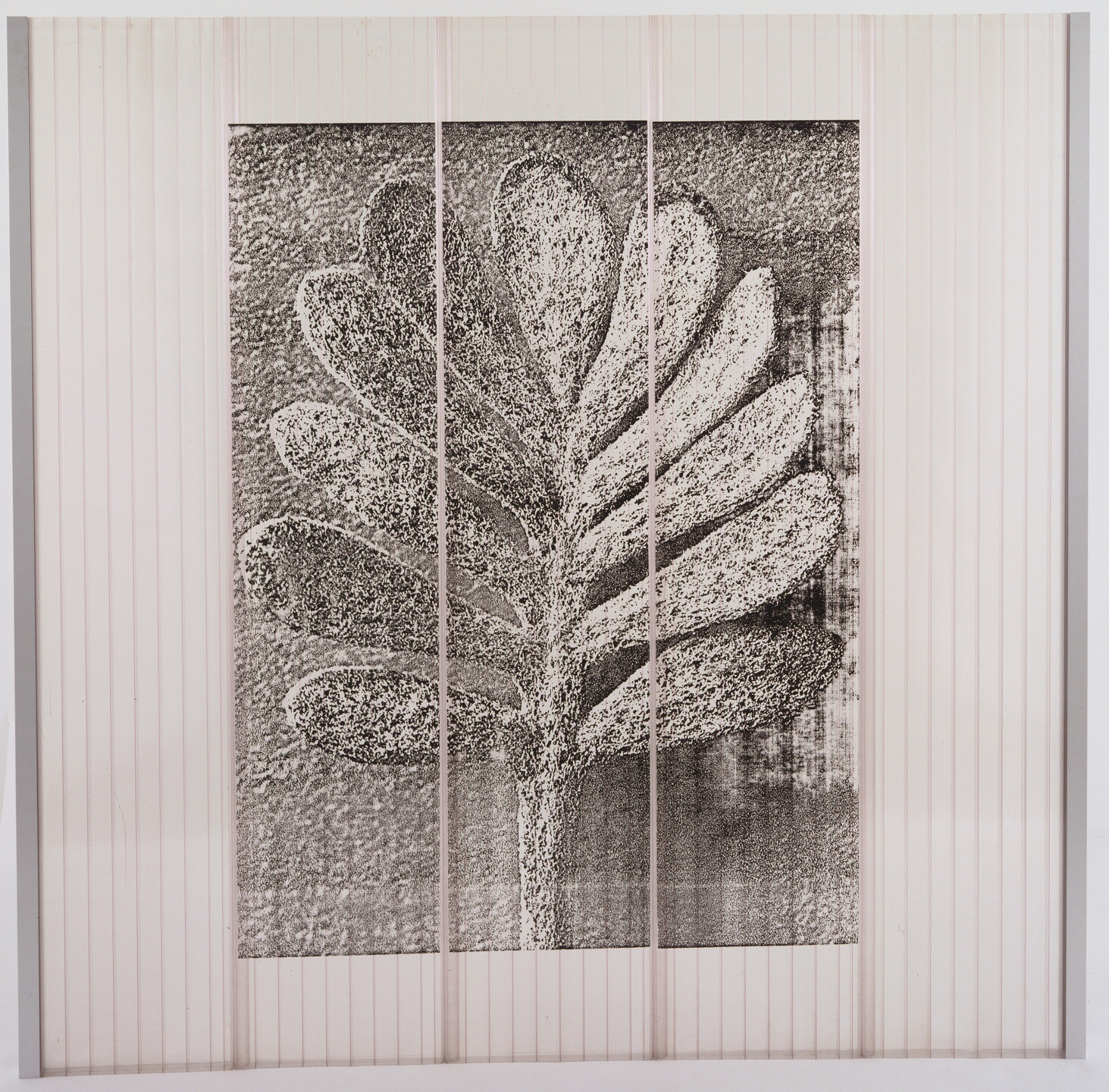 Herzog & de Meuron, Basel, Jacques Herzog, Pierre de Meuron, Karl Blossfeldt. Facade Panel from the Ricola Europe Factory and Storage Building, Mulhouse-Brunnstatt, France. 1992-93