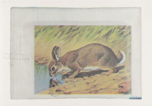 Joseph Beuys. American Hare Sugar I (Amerikanischer Hasenzucker I). 1974